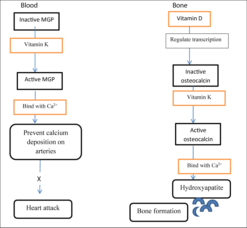 abb-aid1010-g003