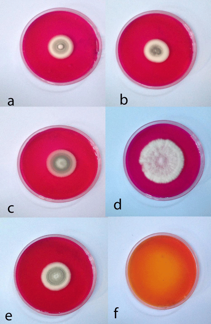 abb-aid1036-p001